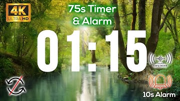 01:15s 🔔 75 Second TIMER with Tick Tock Sound Every Second and Alarm for 10s - No Loop