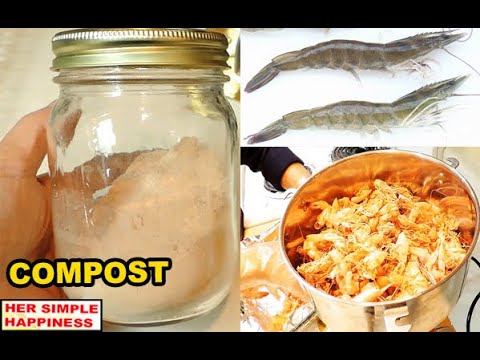 Βίντεο: Can You Compost κοχύλια αστακού - Συμβουλές για την προσθήκη κελυφών αστακού στο κομπόστ