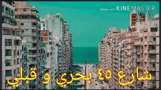 أطول شوارع الاسكندرية/ شارع ٤٥ في العصافرة بحري و قبلي