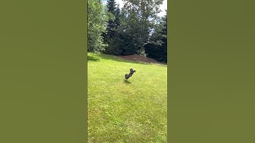 Arrma Kraton - oops so bad landing #shorts