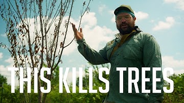 This Simple Thing is Killing Your Trees