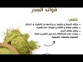 "اكتشف فوائد أوراق السدر السحرية للشعر والبشرة والصحة"