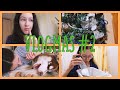 VLOGMAS #2 НАВОЖУ ПОРЯДОК В ВАННОЙ КОМНАТЕ, УКРАШАЮ КВАРТИРУ (очень стараюсь)