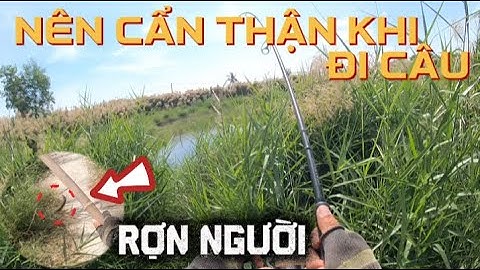 Hoang mang khi đi câu một mình nên chú ý những địa hình rậm rạp
