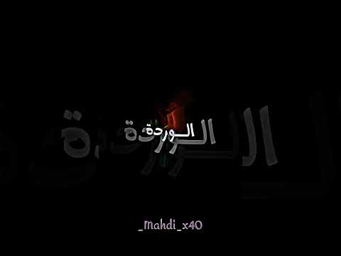 سـاعفنـي قـلبـي ســاعفنـي DIDIN CANON 16 NORMAL شاشة سوداء Music Shorts Fyp Viral الجزائر