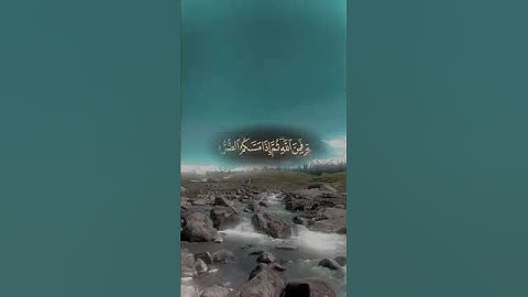 قران كريم #اكسبلور #العظماء #تيك_توك #المصحف #دويتو #العلم #ترند #الظروف #لايك #الرحمن