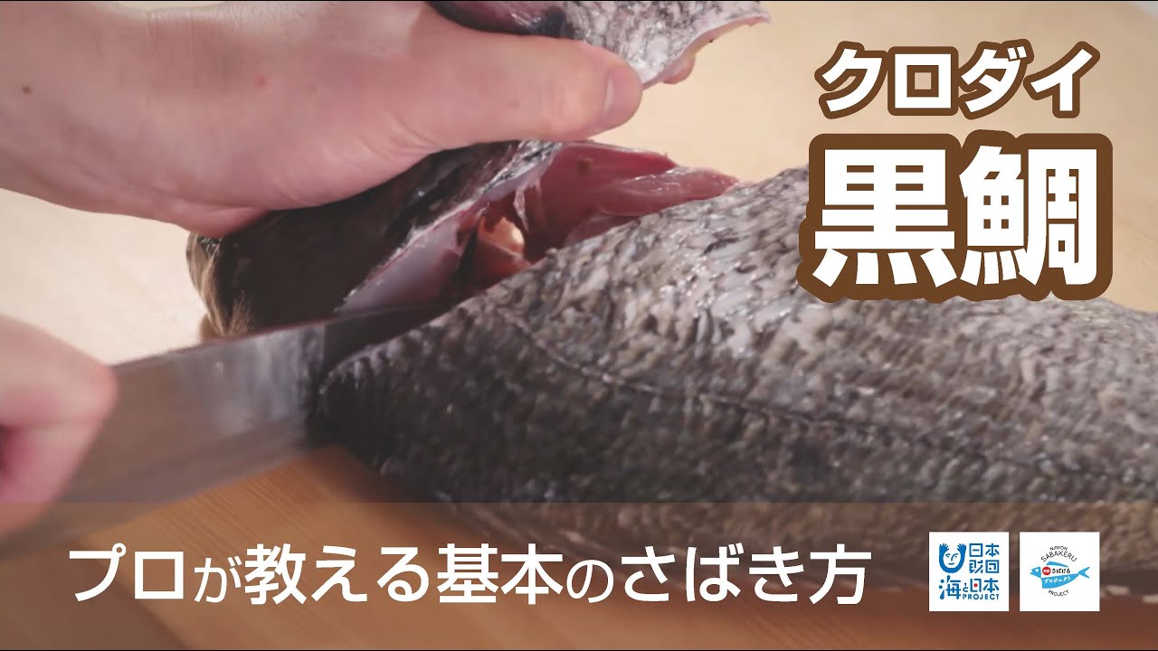 目近魚 めじな のさばき方 How To Filet Largescale Blackfish 日本さばけるプロジェクト 海と日本プロジェクト Youtube