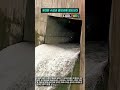 수위 조절을 위한 댐 게이트 개방 작동 과정 #worker #process #dam #waterpower #watermanagement