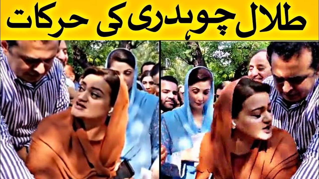 Maryam Aurangzeb Vs talal Choudhury New Viral Video