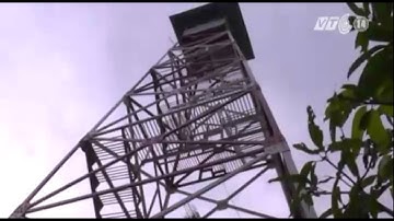 VTC14_Cà Mau: Hàng nghìn héc - ta rừng tràm có nguy cơ cháy cao