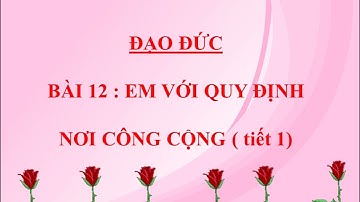 Bài 12: Em với quy định nơi công cộng (T1) | Đạo đức 2 Cánh Diều | TH Chu Văn An