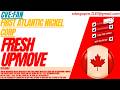 FAN STOCK : FRESH UPMOVE | FIRST ATLANTIC NICKEL STOCK
