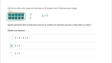 Visualiser une addition répétée -  Problème