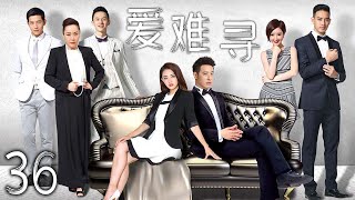 【精彩都市剧】爱难寻 36 | 事业困境,爱情为盾 | 主演:潘玮柏、徐璐、毛晓彤、黄立