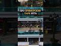 Все о локации Приморский Парк в Ялте: расположение, жилые комплексы, цены ⚡️