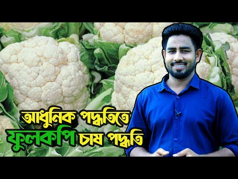 ভিডিও: অল্টারনারিয়া শসা