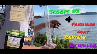 Trying Scoops #3 + Forbidden Fruit! New Strain Review w/ WillOG and Taxi!