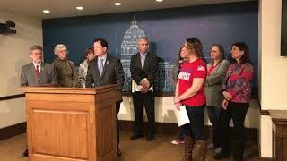 New Republican Caucus Press Conference 1/24/2019 on proposed rules changes at the Minnesota House.