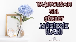 YAŞIYORSAN GEL ŞÜKRET l MÜZİKSİZ İLAHİ Resimi