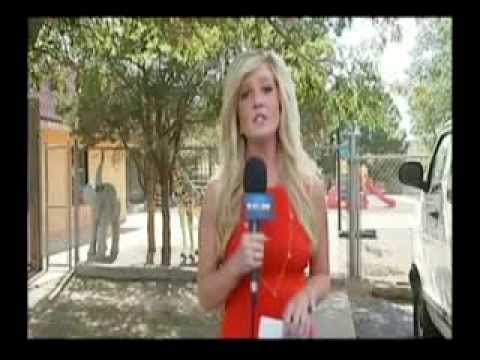 Alison Morris Demo Reel Youtube