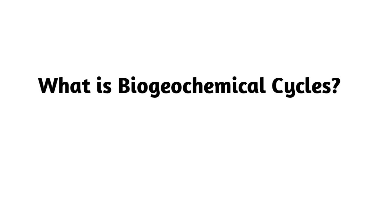 What is Biogeochemical Cycles ? - YouTube