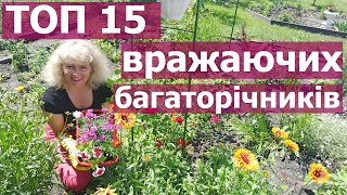 Невибагливі багаторічники квітучі в моєму саду\\15 Вражаючих багаторічників Квітучі ВСЕ ЛІТО