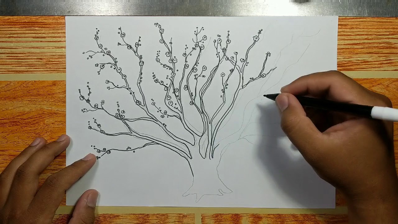 How to draw Cherry Blossoms  YouTube