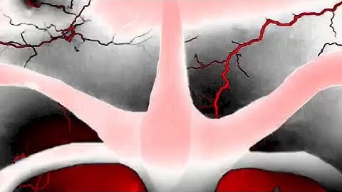 Tutorial ⚠️FLASH WARNING⚠️effect