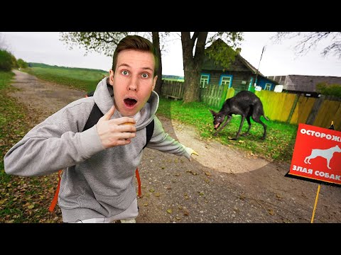 ОБНАРУЖЕН МУТАНТ В ЧЕРНОБЫЛЕ | Полное видео