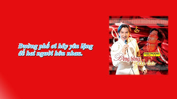 Mùa xuân bên cửa sổ - Đan Trường