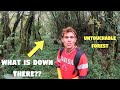 MYSTERIOUS Forest In The PHILIPPINES Mountains | BecomingFilipino Travel Alone