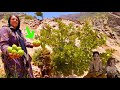 Her Mountain Fruit Became Their Lifeline... Now Everyone Is Asking If Her Daughters Will Have a Home!