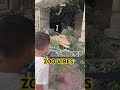 Like A Zoo Shorts Like A Zoo Shorts