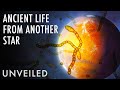 What If Life Came From Another Star System? | Unveiled