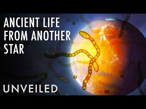 Video: Life Turned Out To Be The Same Age As The Earth - Alternative View