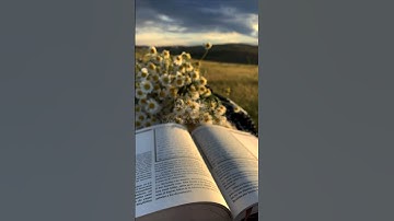 ﴿وَنَزَعْنَا مَا فِي صُدُورِهِم مِّنْ غِلٍّ﴾#القرآن_الكريم #سورة_الأعراف #القارئ_عبدالعزيز_الراجحي