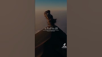 عبدالرحمن مسعد// تلاوت هادئة القرآن الكريم 😴❣️ أجمل صوت القاري عبدالرحمن مسعد #quran