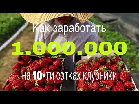 Как заработать миллион на 10-ти сотках клубники.Смотреть до конца!!!