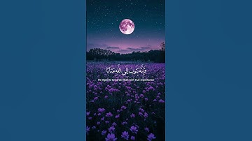 القارئ:اللحيدان #viralvideo #اكسبلور #لايك #قرآن #ترند #راحة_نفسية #video