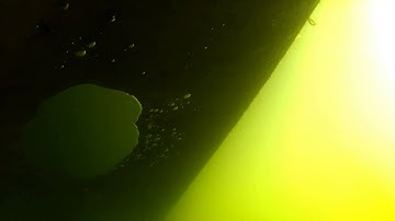 Floating bridge Brookfield VT 2015