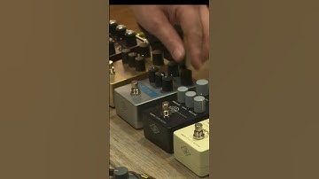 UA 1176 Studio Compressor Pedal in action! #universalaudio