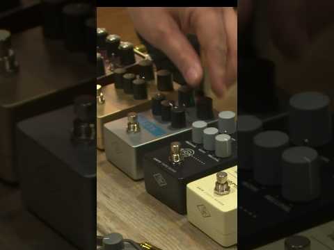 UA 1176 Studio Compressor Pedal in action! #universalaudio