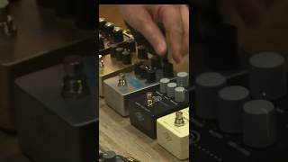 UA 1176 Studio Compressor Pedal in action! #universalaudio