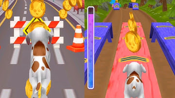 Dog Run  Game Dog puppy Racing Game Pet runner Game