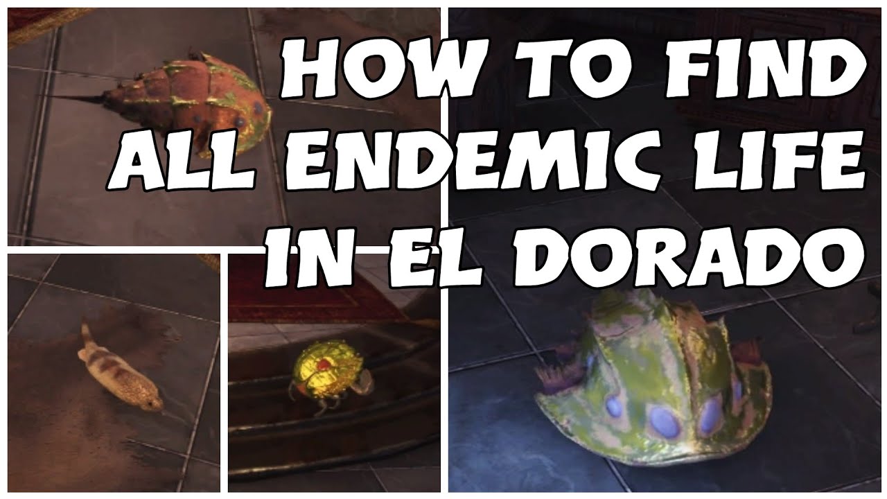 MHW : Every New Endemic Life in El Dorado + Locations ...