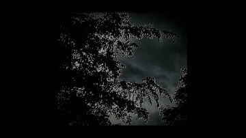 export-1-test-boring.m4a