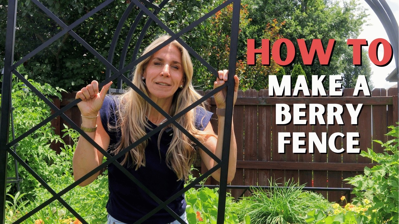 How to Grow Berries On A Fence - Get Harvests for Years!