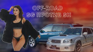 Off-road: Subaru Forester разных поколений SG и SH