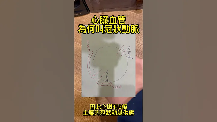 冠状动脉介绍 - 天天要闻