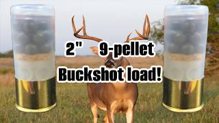 Hodgdon High Gun 2" Buckshot load